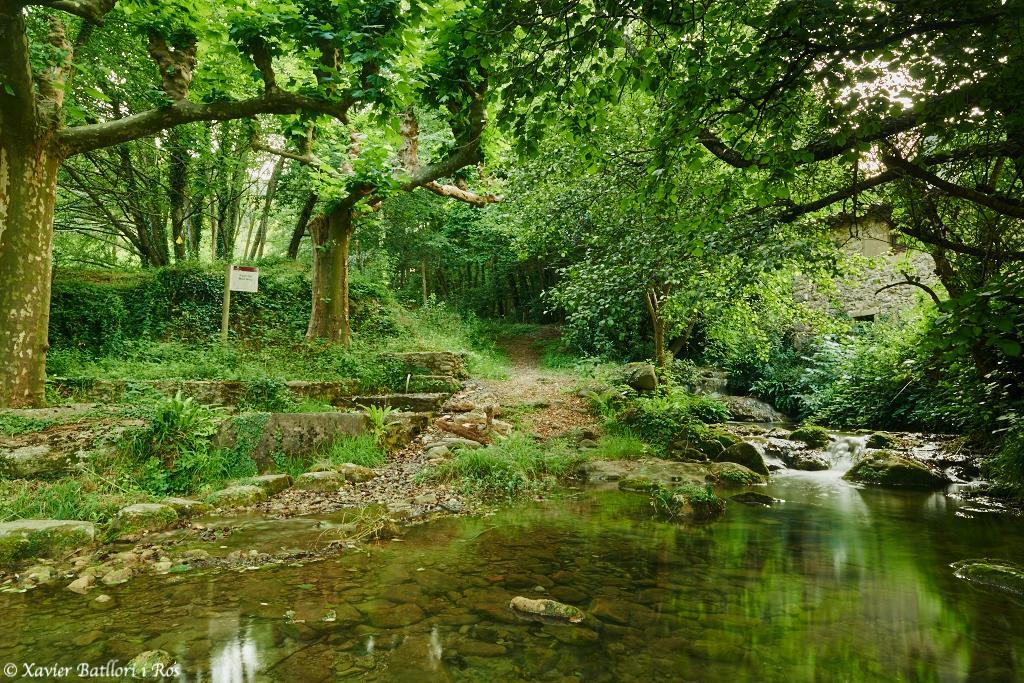 Fonda Finet * Sant Felíu de Pallarols