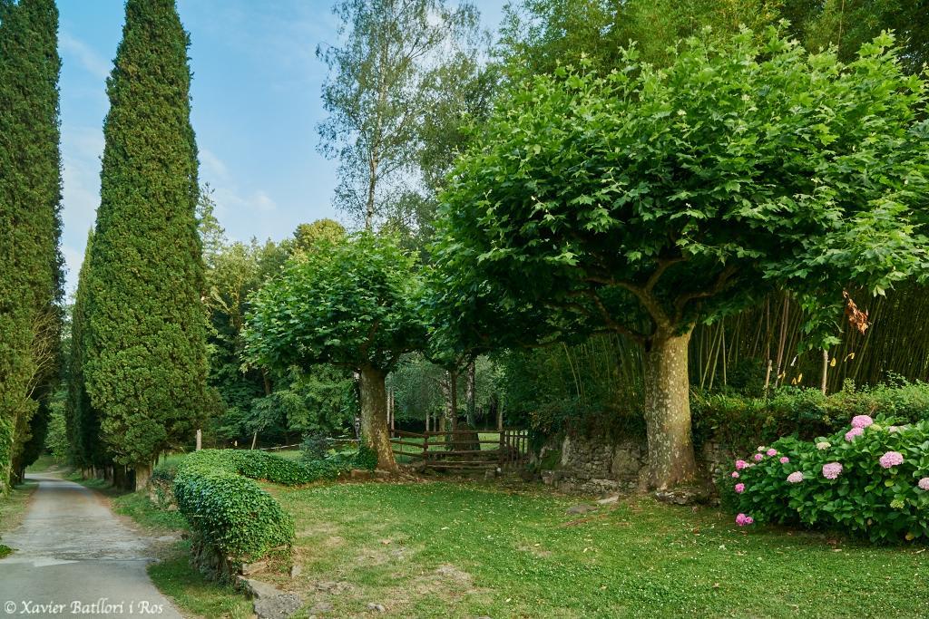 Fonda Finet * Sant Felíu de Pallarols